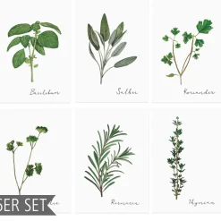 Eulenschnitt Kräuterkarten im 6er-Set