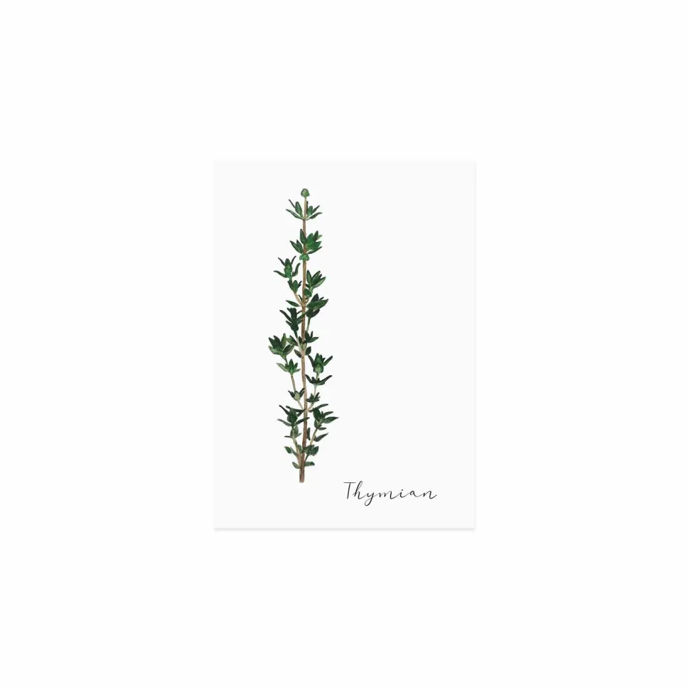 eulenschnitt_kruterkarten_SKUXJKCUiqmIR_4.webp Eulenschnitt Kräuterkarten im 6er-Set