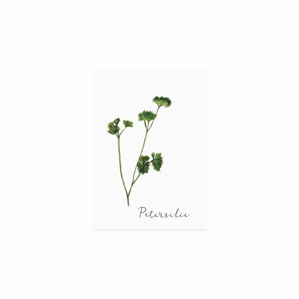 eulenschnitt_kruterkarten_SKUXJKCUiqmIR_6.webp Eulenschnitt Kräuterkarten im 6er-Set