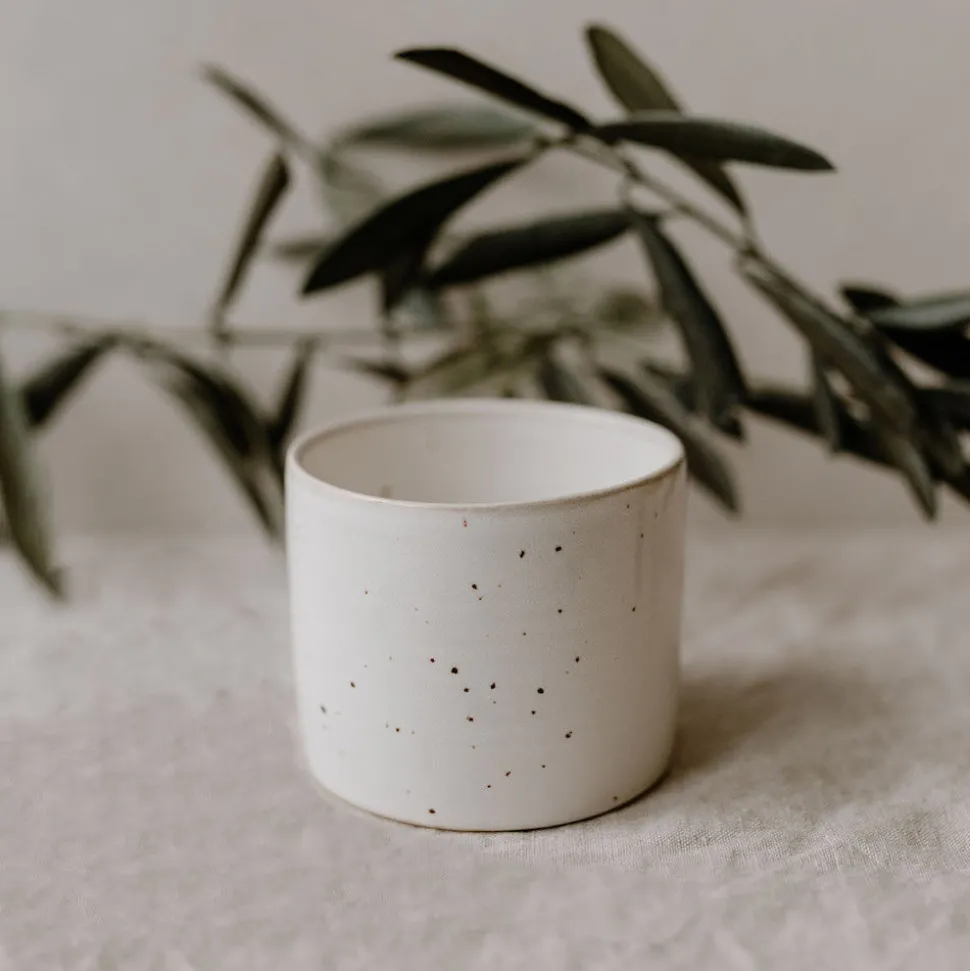 eulenschnitt_schlchen_cal_SKUCzjGXaQsL2_2.webp Eulenschnitt Schälchen Calma