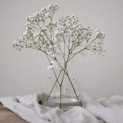 Eulenschnitt Vase aus Glas Punkte Groß