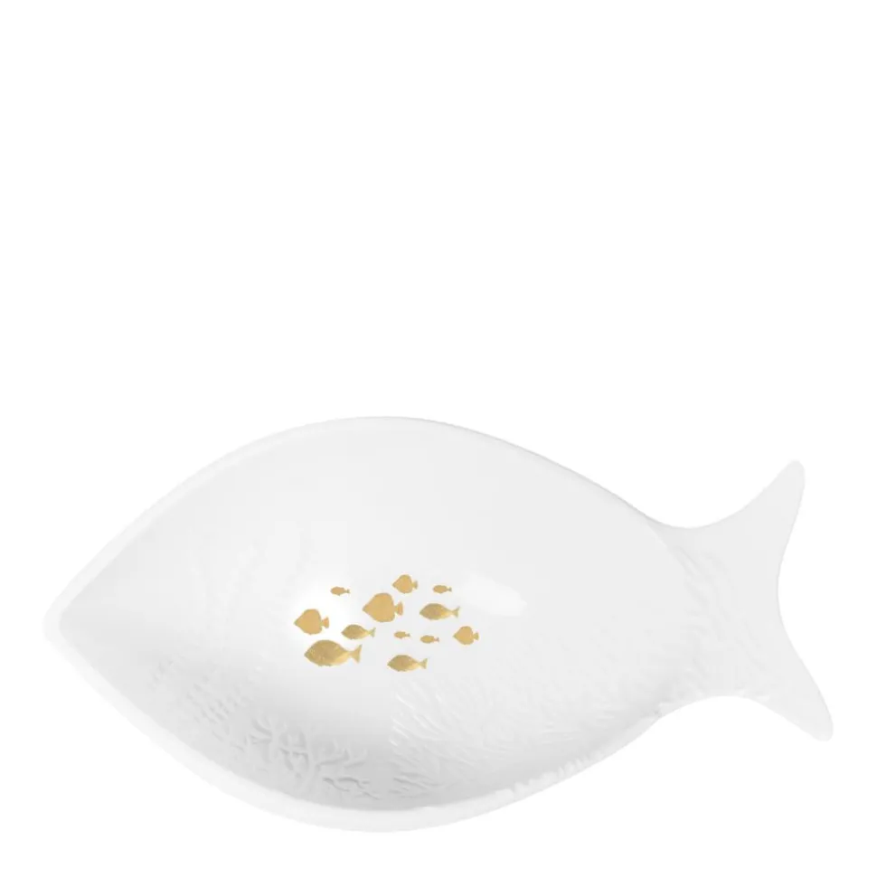 rder_fischschale_koralle_SKUFGQSKe8CZU_0.webp Räder Fischschale Koralle