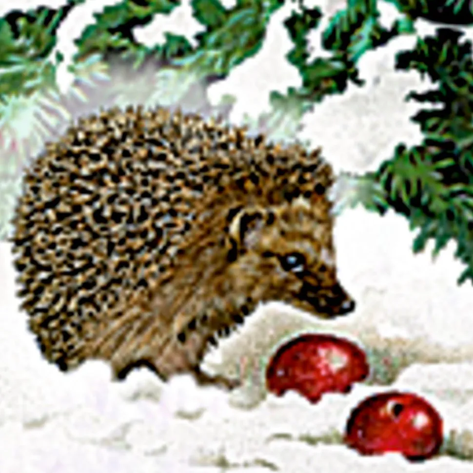 wandadventskalender_eisen_SKU4NJZUXrS6E_2.webp Wandadventskalender Eisenbahntanne